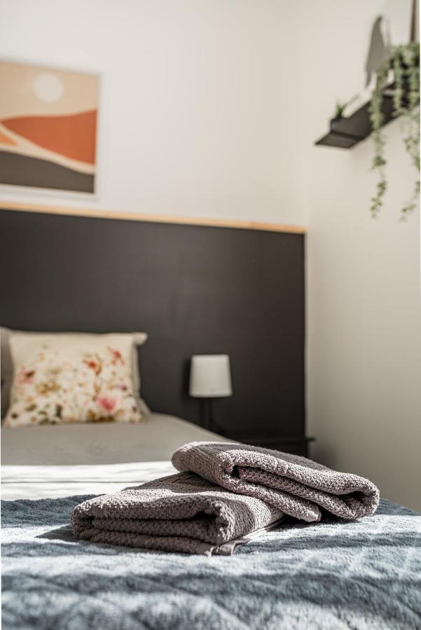 Superbe Appartement Cosy Avec Terrasse サン・テティエンヌ エクステリア 写真